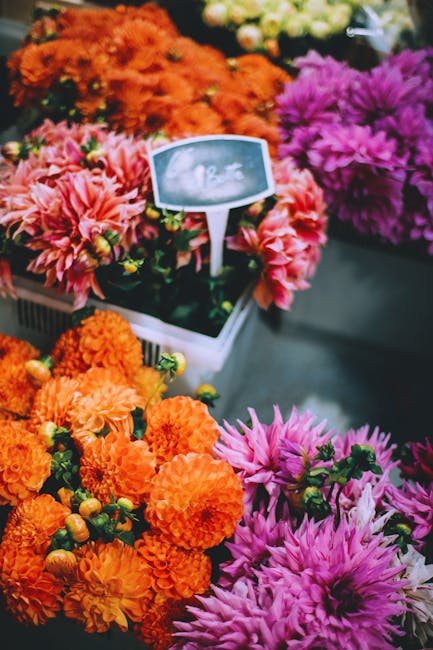 An assortment of freshly cut flowers displayed at a flower shop, featuring vibrant pink chrysanthemums with numerous layered petals and green foliage, bright orange marigolds with densely packed ruffl